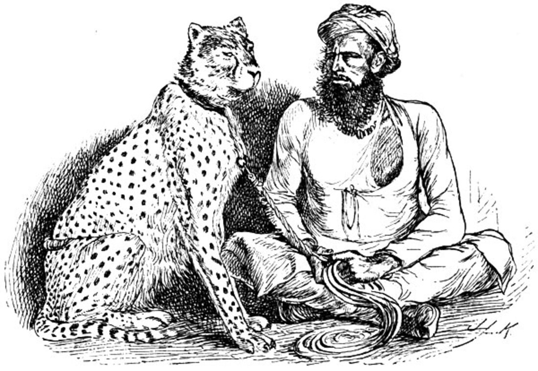 Lockwood Kipling drawing of a seated cheetah beside its seated keeper.